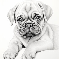 Buy canvas prints of Pencil Drawing Pug Puppy by Steve Smith