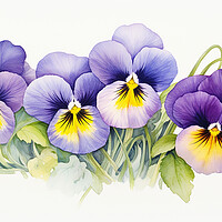 Buy canvas prints of Watercolour Pansies by Steve Smith