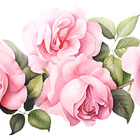 Buy canvas prints of Watercolour Pink Roses by Steve Smith