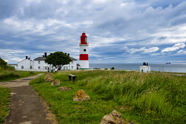 Souter Lighthouse Picture Board by Steve Smith