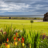 Buy canvas prints of Tommy at Seaham by Steve Smith