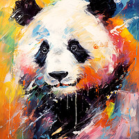 Buy canvas prints of Giant Panda Portrait by Steve Smith