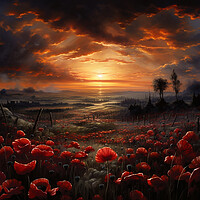Buy canvas prints of Flanders Field Poppies by Steve Smith