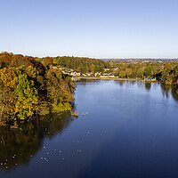 Buy canvas prints of Newmillerdam Wakefield by Steve Smith