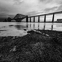 Buy canvas prints of Forth Rail Bridge by Steve Smith