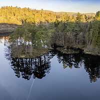 Buy canvas prints of Early Morning Tarn Hows by Steve Smith
