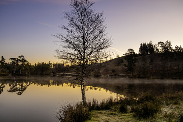 Tarns Hows Lake District Picture Board by Steve Smith