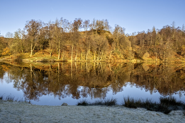 Tarns Hows Lake District Picture Board by Steve Smith