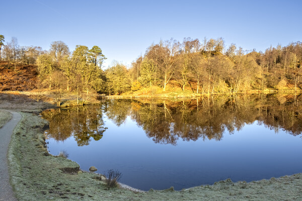 Tarns Hows Lake District Picture Board by Steve Smith