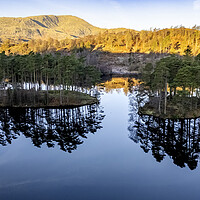 Buy canvas prints of Tarns Hows To Wetherlam by Steve Smith