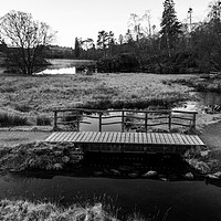 Buy canvas prints of Tarns Hows by Steve Smith