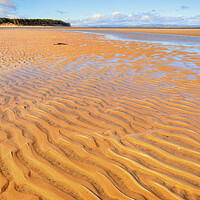 Buy canvas prints of Findhorn Beach by Steve Smith