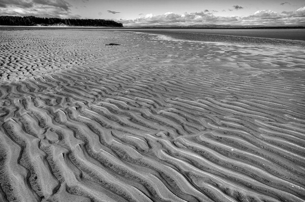 Findhorn Beach Picture Board by Steve Smith