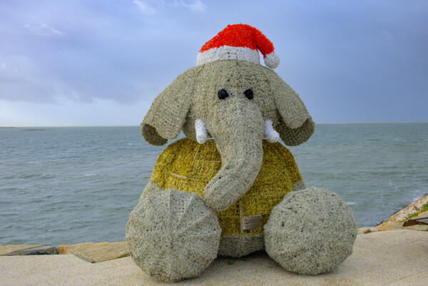 Christmas Dumbo Picture Board by Steve Smith
