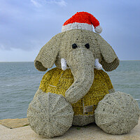 Buy canvas prints of Christmas Dumbo by Steve Smith