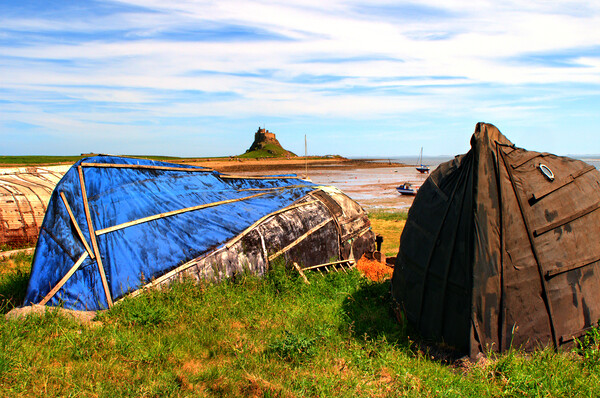 Holy Island Northumberland Picture Board by Steve Smith