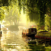 Buy canvas prints of Canal Life by Steve Smith