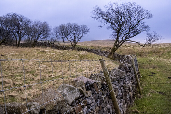 Ribblehead Stone Wall Picture Board by Steve Smith