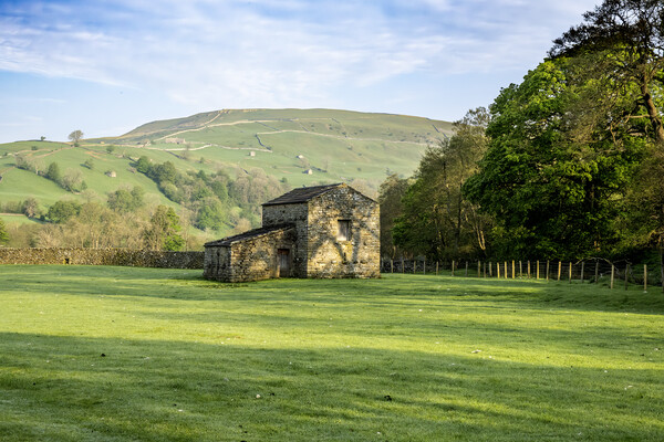 Swaledale At Its Best Picture Board by Steve Smith