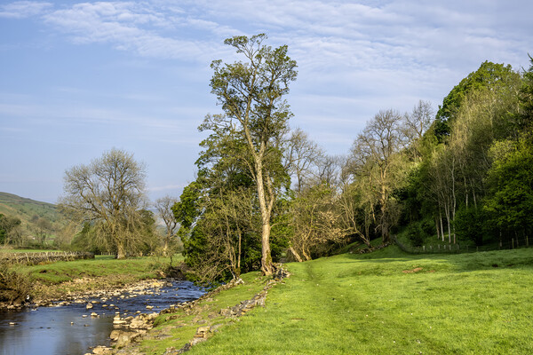 The River Swale Picture Board by Steve Smith