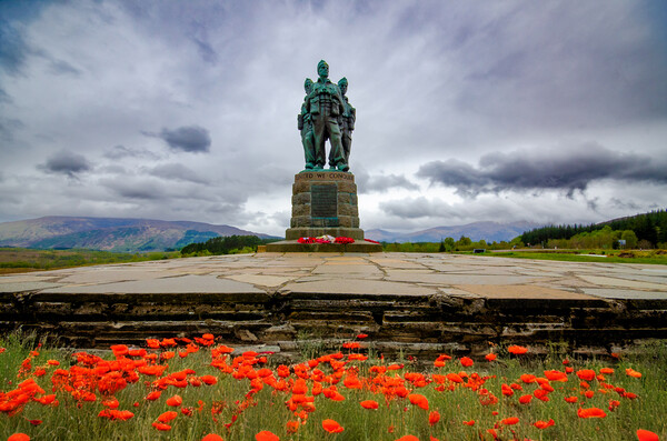 Commando Monument Poppies Picture Board by Steve Smith