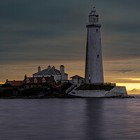 St Mary's Lighthouse Sunrise