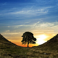 Sycamore Gap Sunset