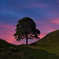 Sycamore Gap Sunset