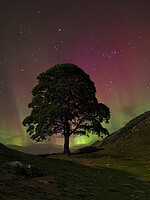 Click to show how this picture will look as a piece of wall art