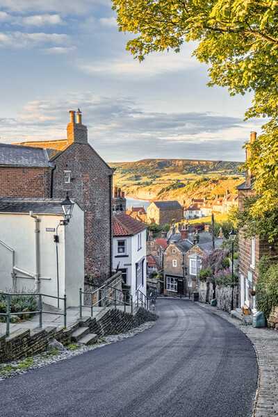 New Road Robin Hoods Bay Picture Board by Tim Hill