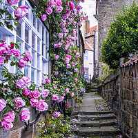 Buy canvas prints of Enchanting Pink Roses Cottage by Tim Hill