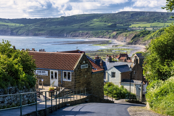 Robin Hoods Bay North Yorkshire Picture Board by Tim Hill