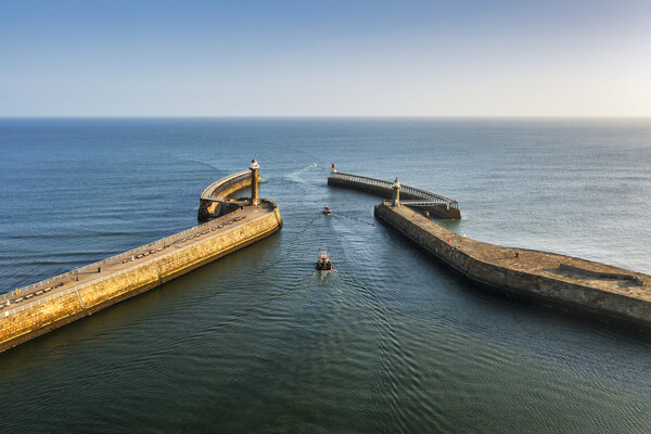 Whitby Harbour Entrance Picture Board by Tim Hill