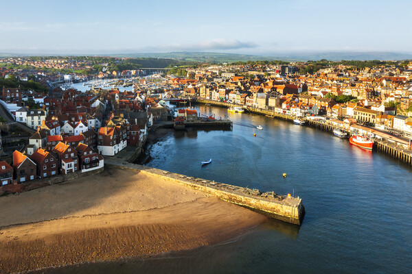 Discovering the Wonders of Whitby Picture Board by Tim Hill