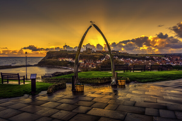 Golden Sunrise Over Whitby Abbey Picture Board by Tim Hill
