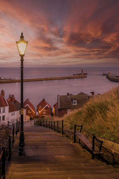 Whitby 199 Steps at Sunset Picture Board by Tim Hill