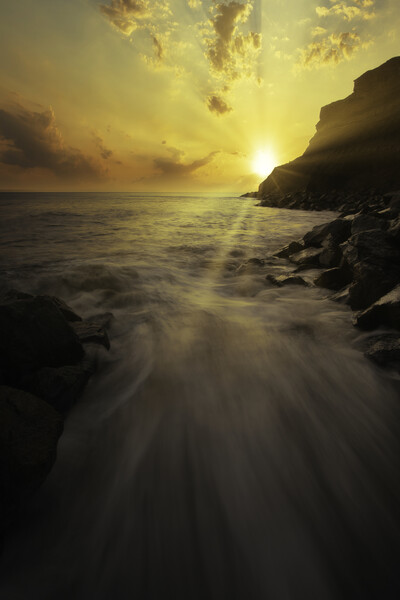 Golden Sunrise over Whitby Cliffs Picture Board by Tim Hill