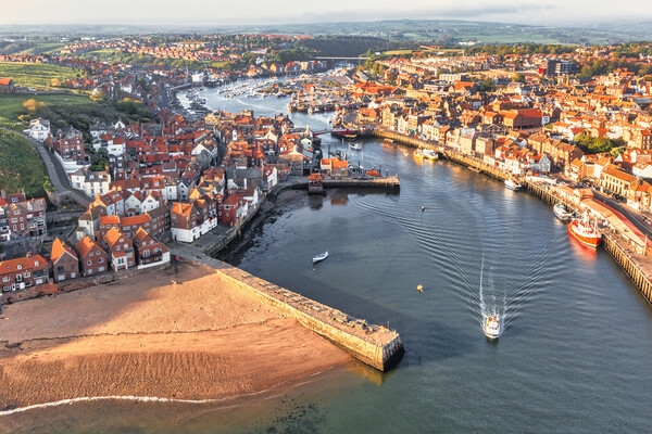 Whitby from Above Picture Board by Tim Hill