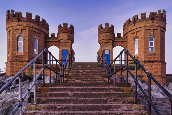 Pier Towers or Castle at Withernsea in Yorkshire Picture Board by Tim Hill