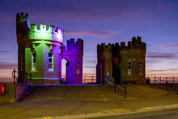 Magnificent Pier Towers at Withernsea Picture Board by Tim Hill
