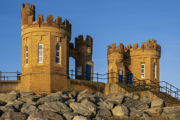 The Sandcastle or Pier Towers at Withernsea Picture Board by Tim Hill