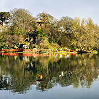 Buy canvas prints of Peasholm Park Scarborough Yorkshire by Tim Hill