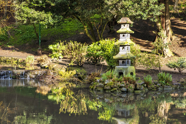 Serene Japanese Garden in Yorkshire Picture Board by Tim Hill