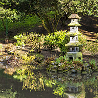 Buy canvas prints of Serene Japanese Garden in Yorkshire by Tim Hill