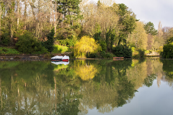 Peaceful reflections on Scarboroughs Boating Lake Picture Board by Tim Hill