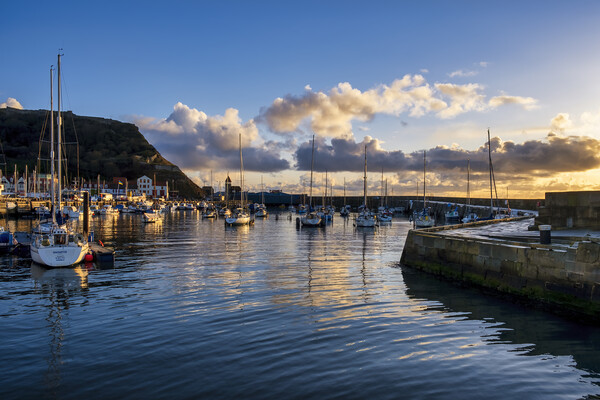 Scarborough Yacht Marina Yorkshire Picture Board by Tim Hill