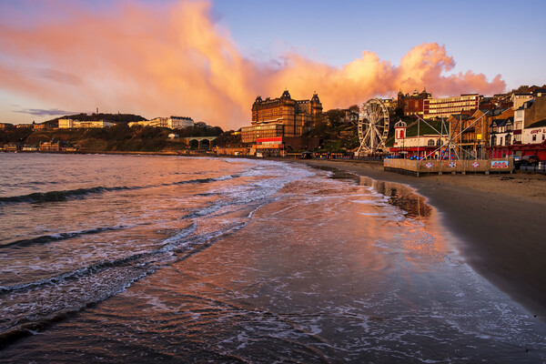 Captivating Sunrise over Scarborough Bay Picture Board by Tim Hill