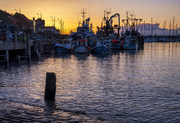 Serenity at Scarborough Harbour Picture Board by Tim Hill