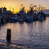 Buy canvas prints of Serenity at Scarborough Harbour by Tim Hill