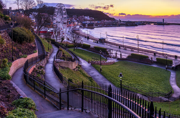 Italian Gardens, Scarborough Yorkshire Picture Board by Tim Hill